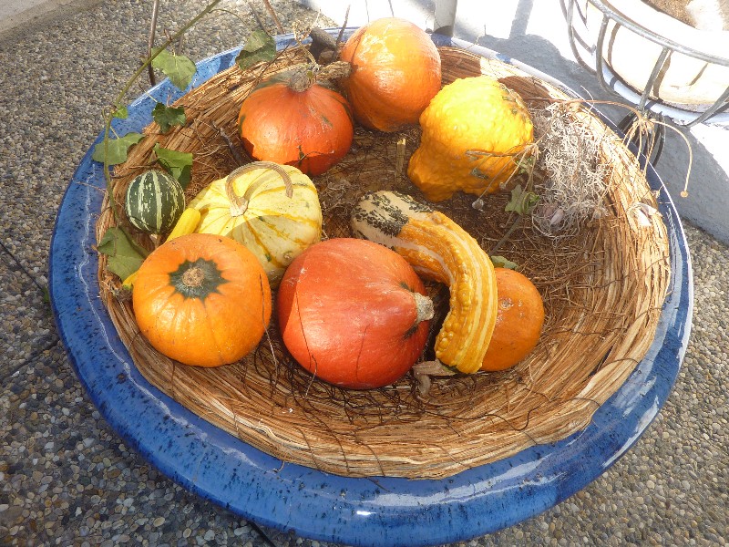 Wir rüsten unser Haus für den Winter