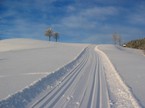 Langlaufen in Bayern