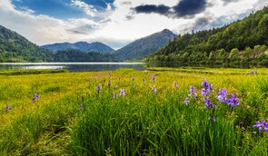 Badespaß am Weitsee