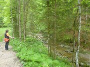 Zwerchenbergalm Reit im Winkl