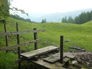 Almwiesen Reit im Winkl