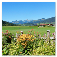 Große lichtdurchflutete Drei-Raum-Ferienwohnung im Gästehaus Schönfeld