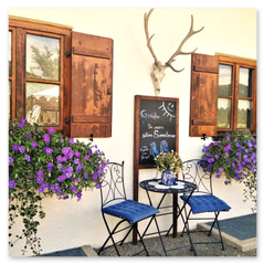 Gästehaus Schönfeld Sommer