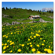 Wanderung zur Eggenalm